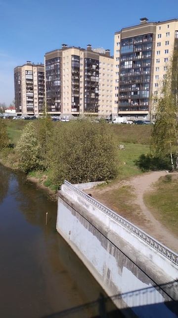 Река Славянка, окраина Петербурга. 17 мая 2025.