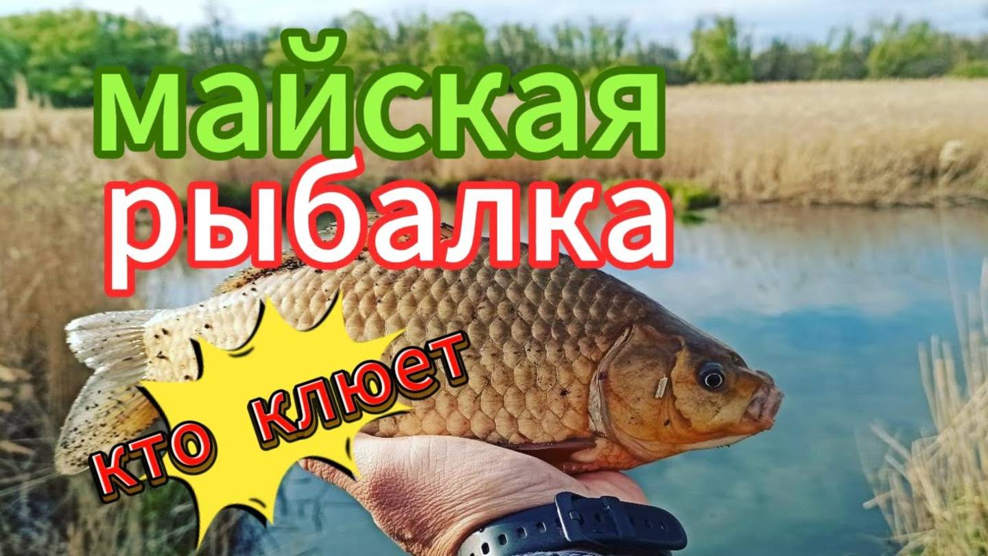 Нереальный клев в мае🎣 Эксперты рыбхоза поделились главными хитростями майской рыбалки