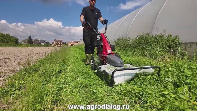 Косилка для высокой травы Eurosystems MINIEFFE