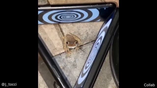 The Best Of The Internet