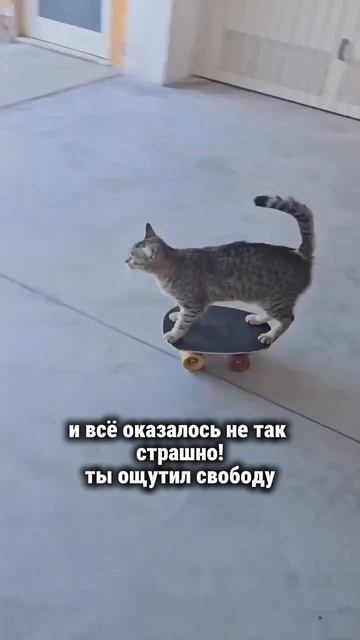 Как прервать черную полосу в жизни #творец #раскрытиесердца #силасознания #материализациямыслей