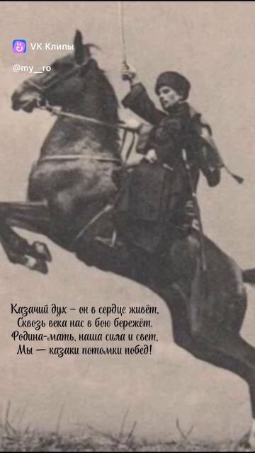 vkclips_20250516104523