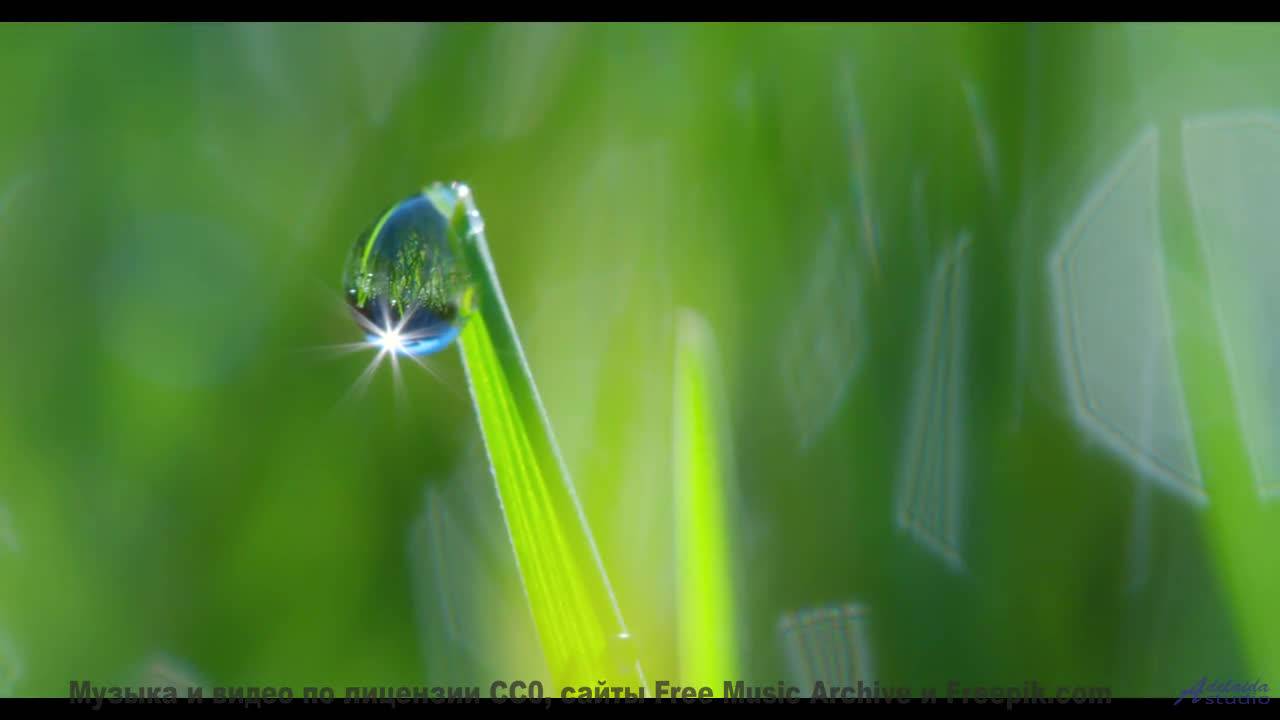 Звуки, материализующие мысли - где граница между наукой и магией - A New Path -- Kirk Osamayo -- Sea