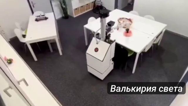 VID_20250517_182301_817.mp4