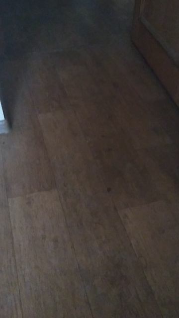 VID_20250517_071231.mp4
