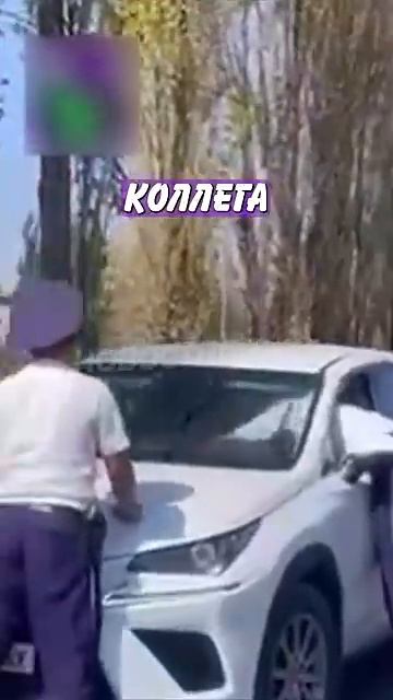 Новостничок (171)