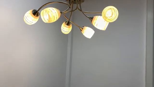 Потолочная люстра Lumion Comfi Dorothy 4528/6C