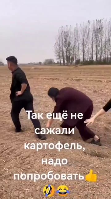 Лайфхак, как сажать картошку