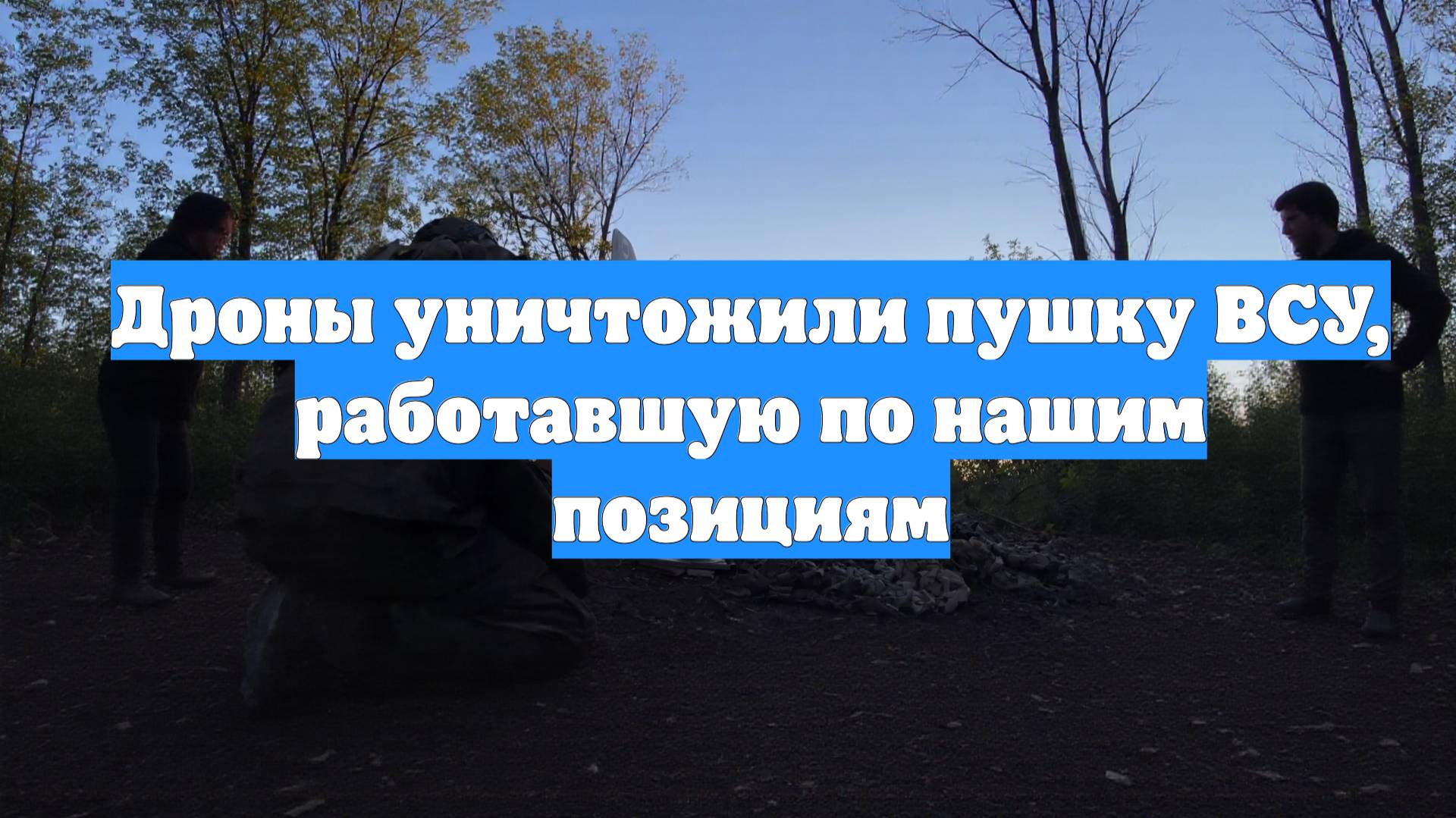 Дроны уничтожили пушку ВСУ, работавшую по нашим позициям