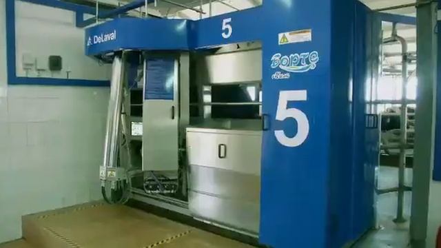 Бөрте Милка жарнама