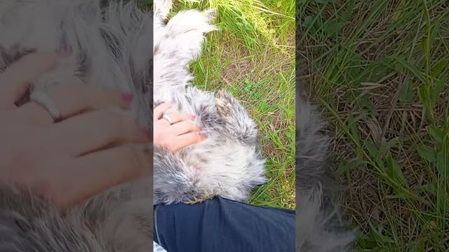 1001008034.mp4