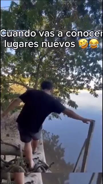 Прикольные видео