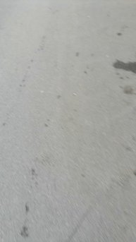 Просто двор