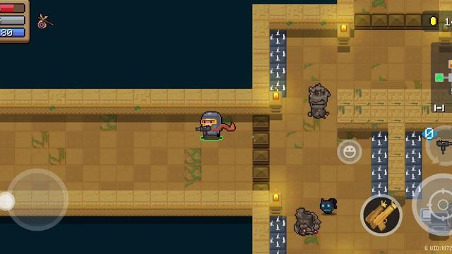 Играю в Soul Knight 13