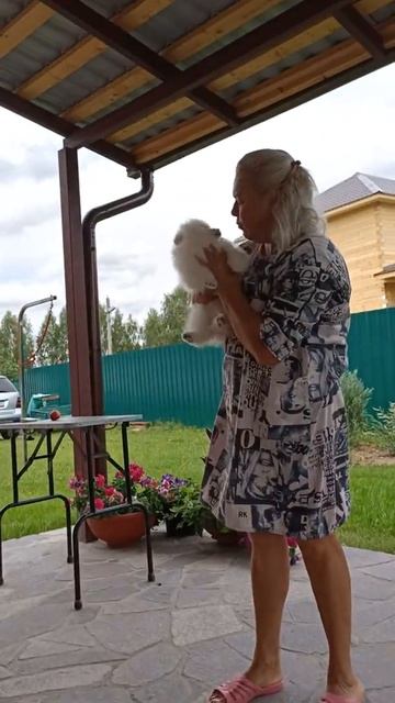 Благодарность Royal Canin