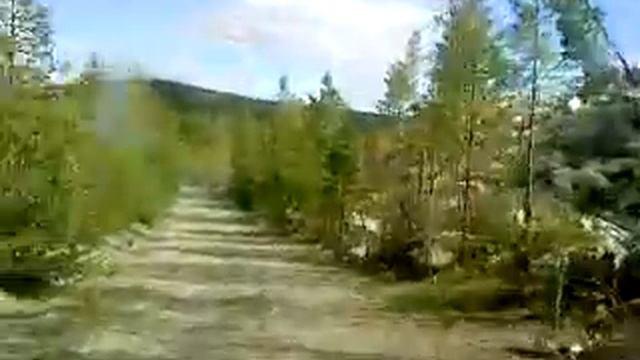 Мы выехали на помойку.