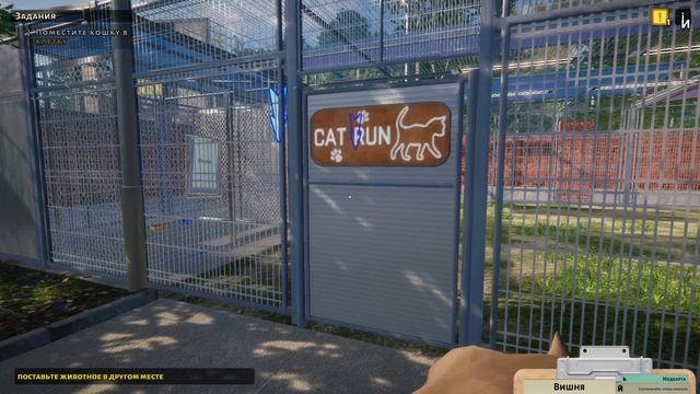 Animal Shelter | Наш первый день с хвостатым постояльцем | SailorGame