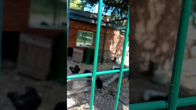 Парк на Яузе Сухонская стрит 15.06.2024