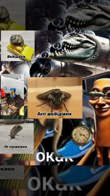 Заполнение окак всякой чушью