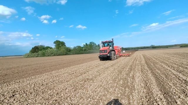 Посевная 2025. Кировец К530 с посевным комплексом Horsch Pronto 6 DC