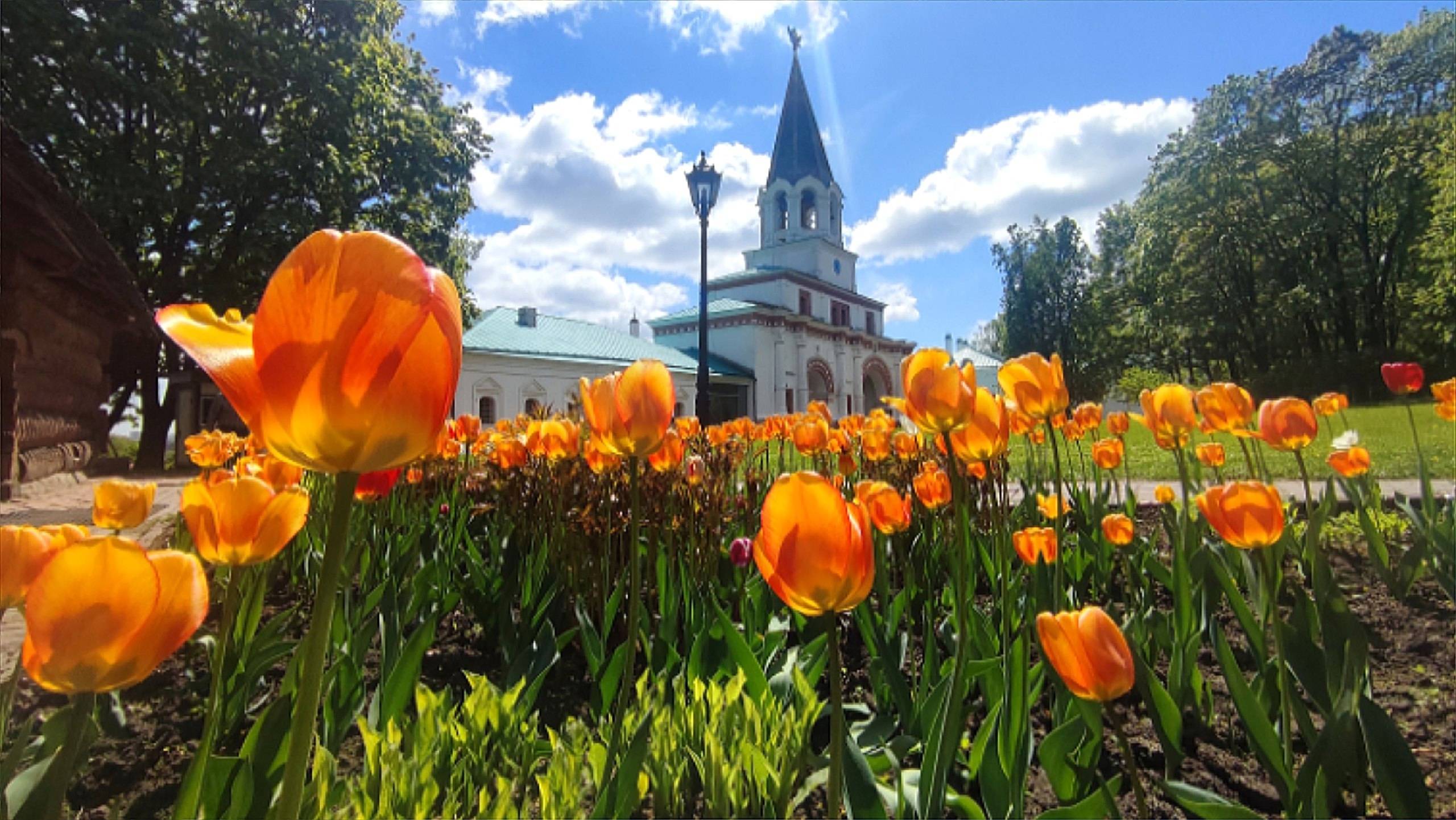 Главная достопримечательность.