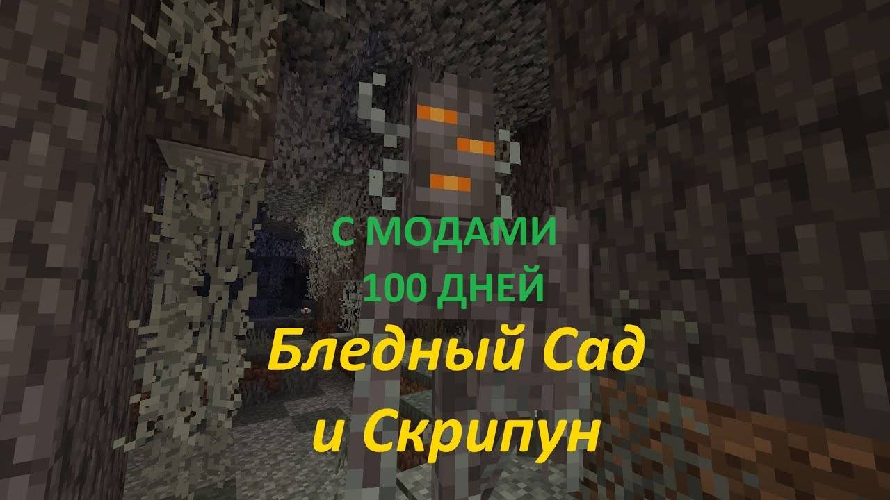 100 БЛЕДКЫЙ ЛЕС 1ЧАСТЬ