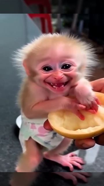 VID-20250516-WA0006.mp4