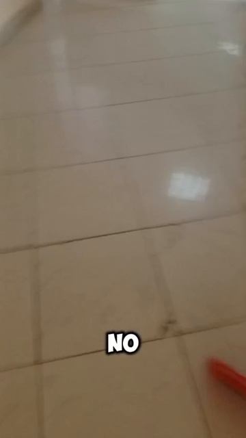 -1 швабра