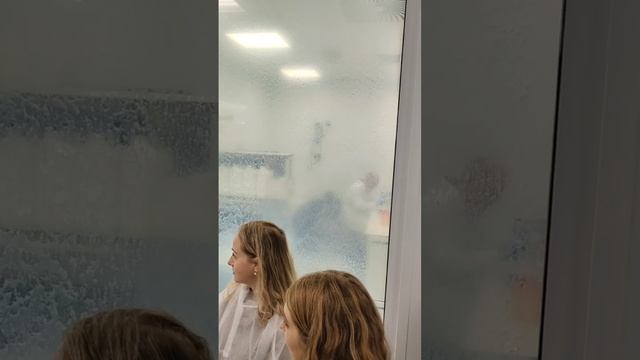 Фестиваль профориентологов Сочи 2025 4 день