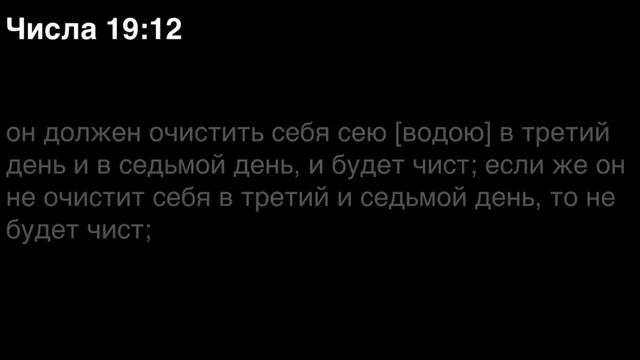 Числа, глава 19