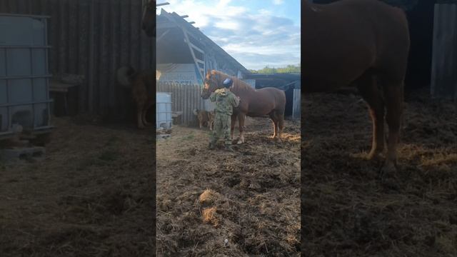 Приехал на Белгородскую землю к другу казаку,кроме кобыл и как живут подписчики