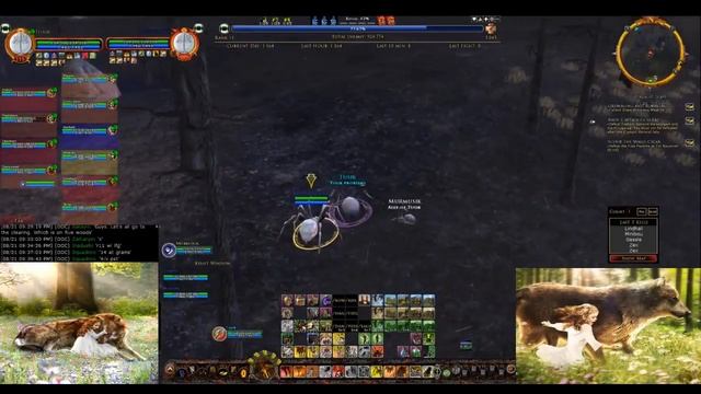 Найди меня... LotRO. PvMP Arkenstone. Ettenmoors.