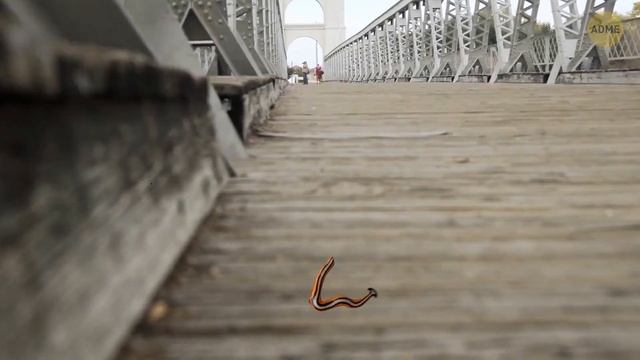 Если вы заметите эти странные вещи, вот что они на самом деле значат