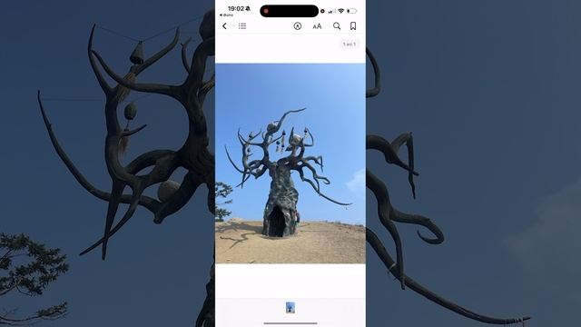 Как на iPhone переделать фото из галереи в pdf формат?