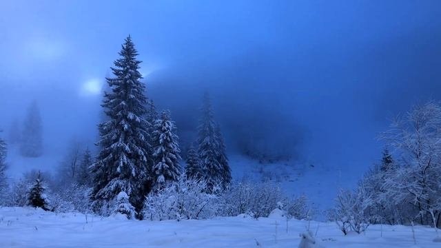 Feldberg / Фельдберг (2020)