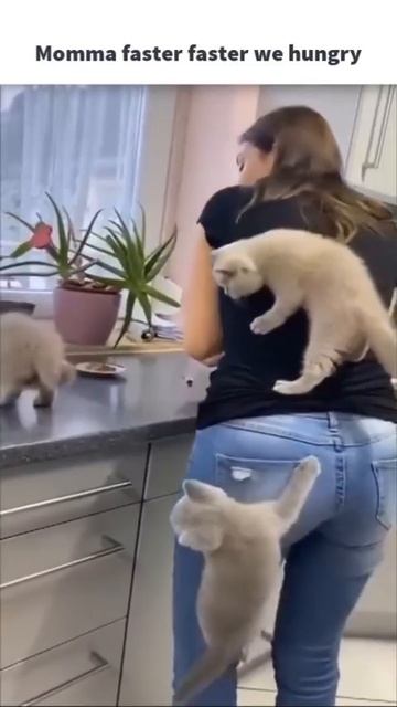 Коллективный захват😍