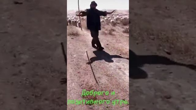 Красивая Азербайджанская песня