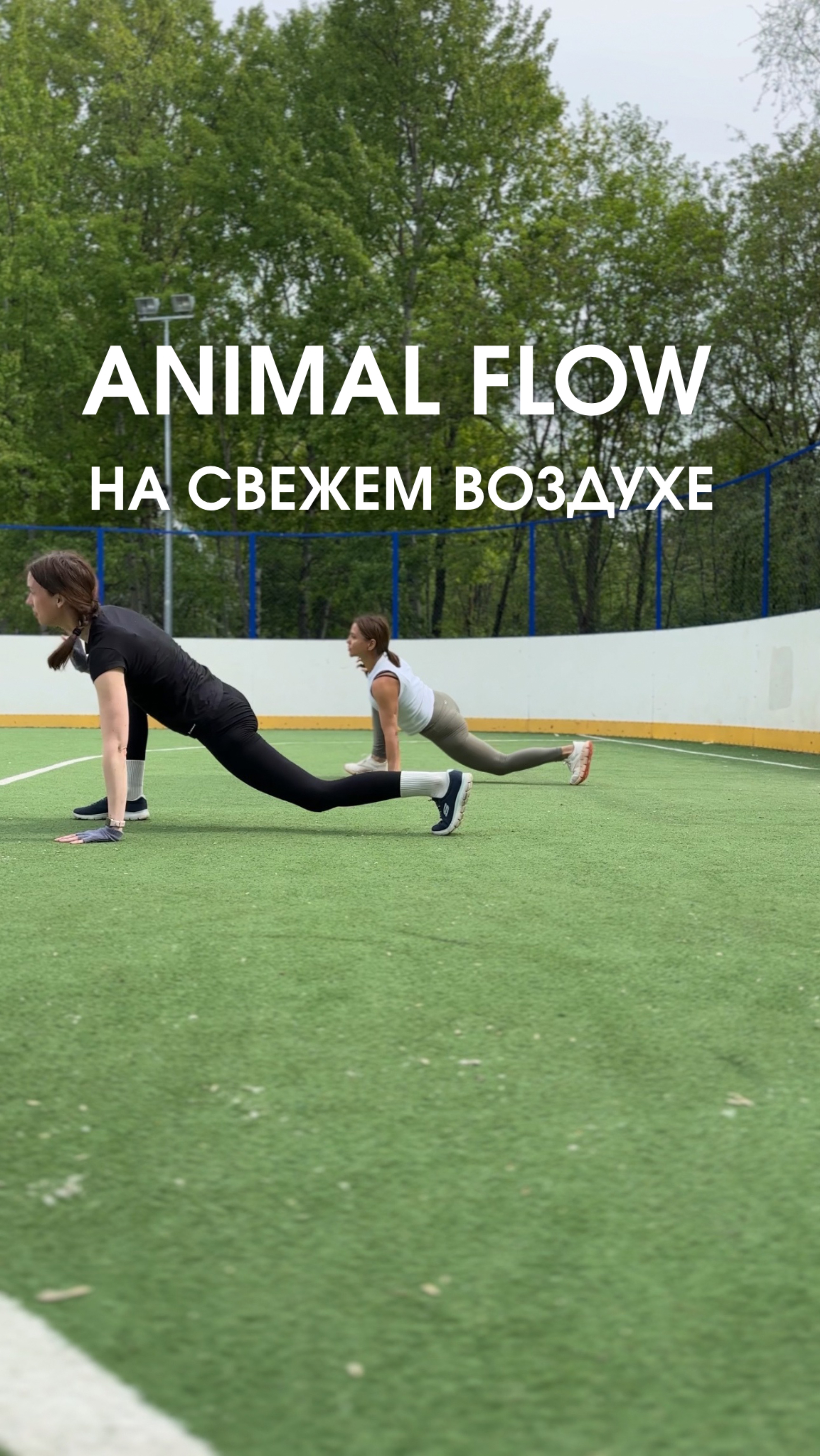🔥ОТКРЫЛИ СЕЗОН — ANIMAL FLOW ПОД ОТКРЫТЫМ НЕБОМ 🔥