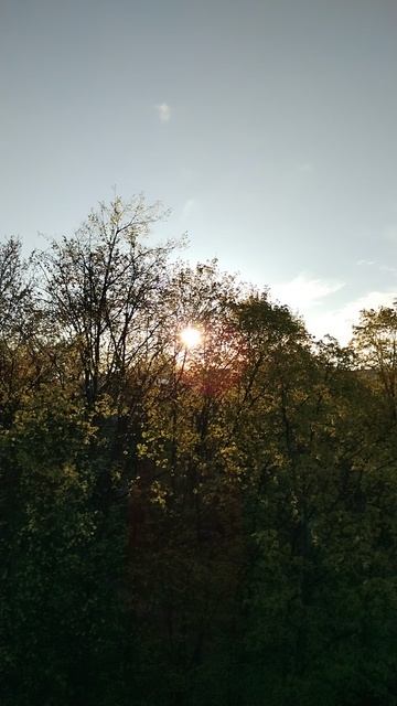 Утро, вид из окна. 17 мая 2025.