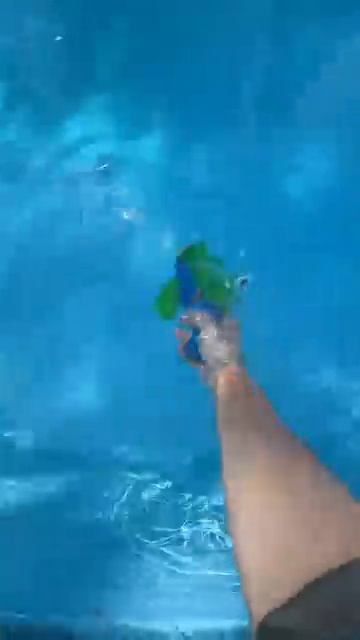 5$ VS 150$ Water Gun