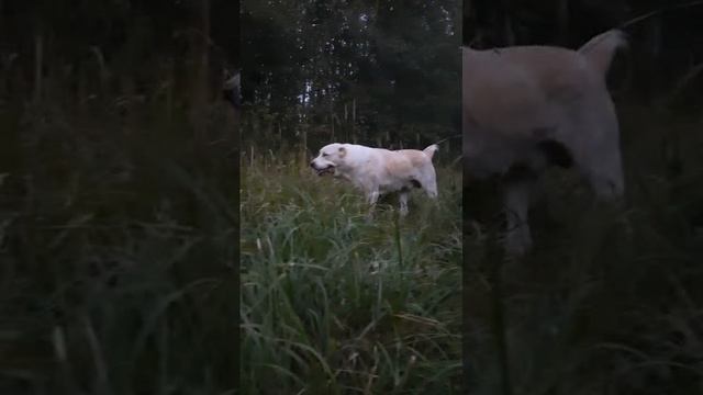 1000040533.mp4