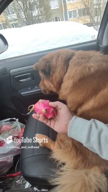 спалилась красотка хитропопая