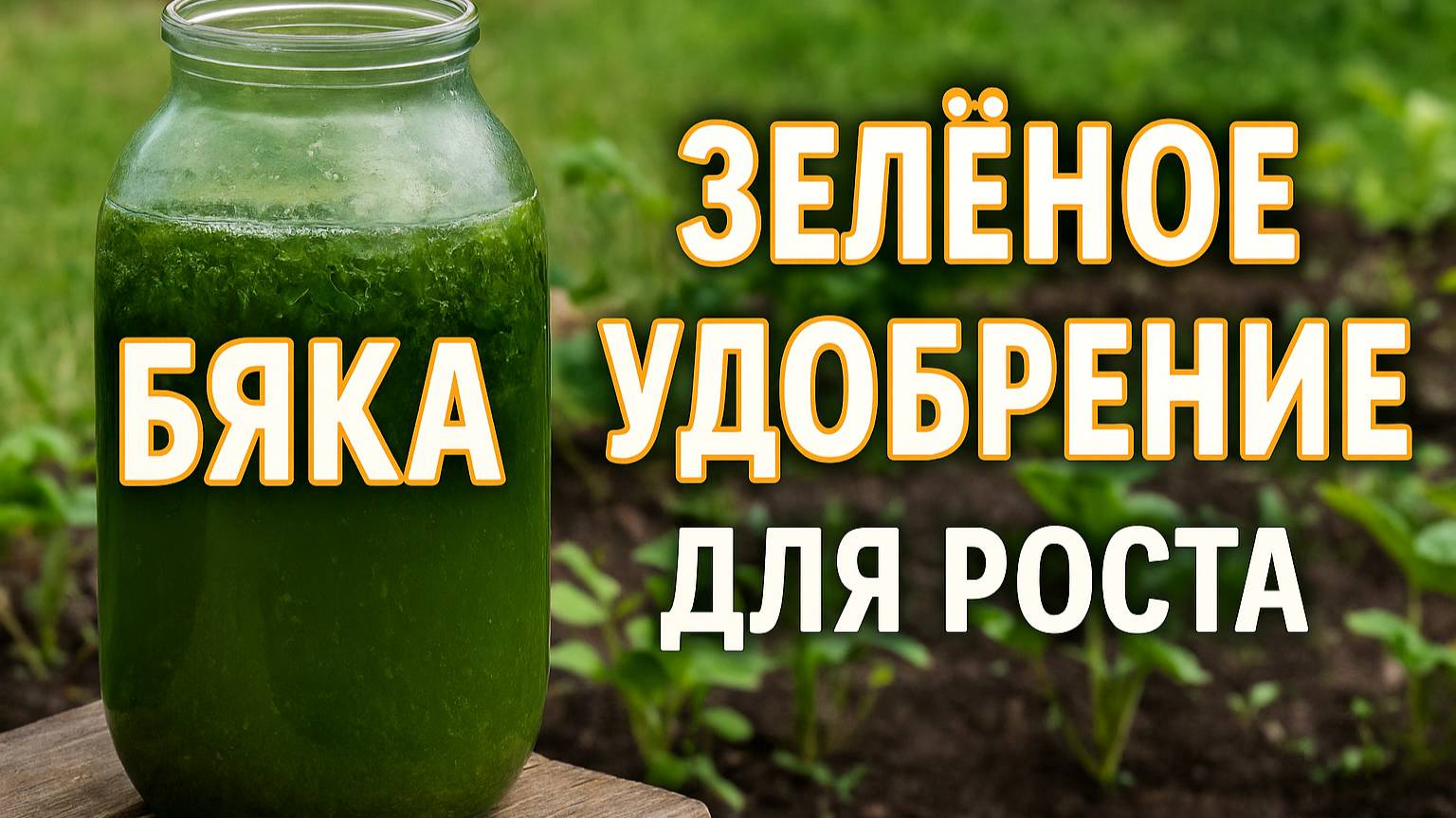 "Бяка" — зелёное удобрение, которое обожают растения!