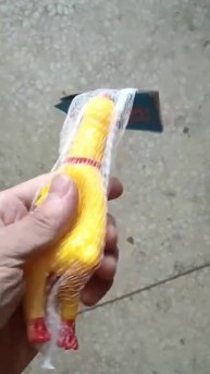 Игрушка для собак — пищащая курица