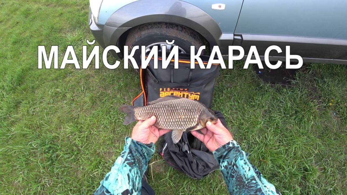Майский карась и про обвес рыболовного стульчика
