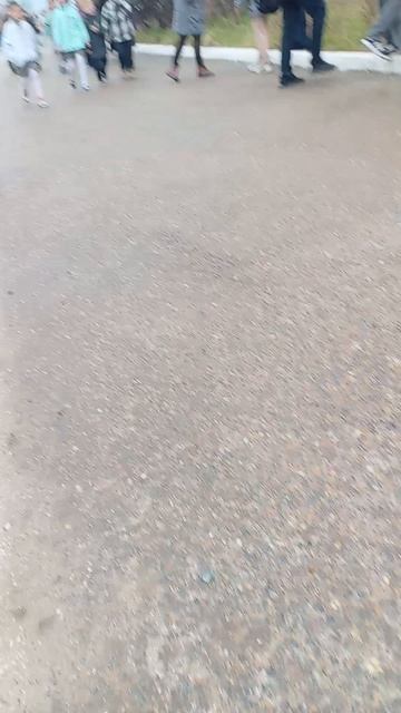 ¿¿¿¿¿¿¿