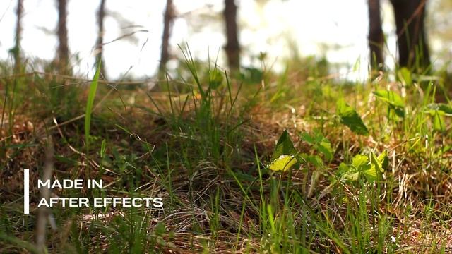 4.2. Современное проявление для текста. Техника из кармана. С дополнениями