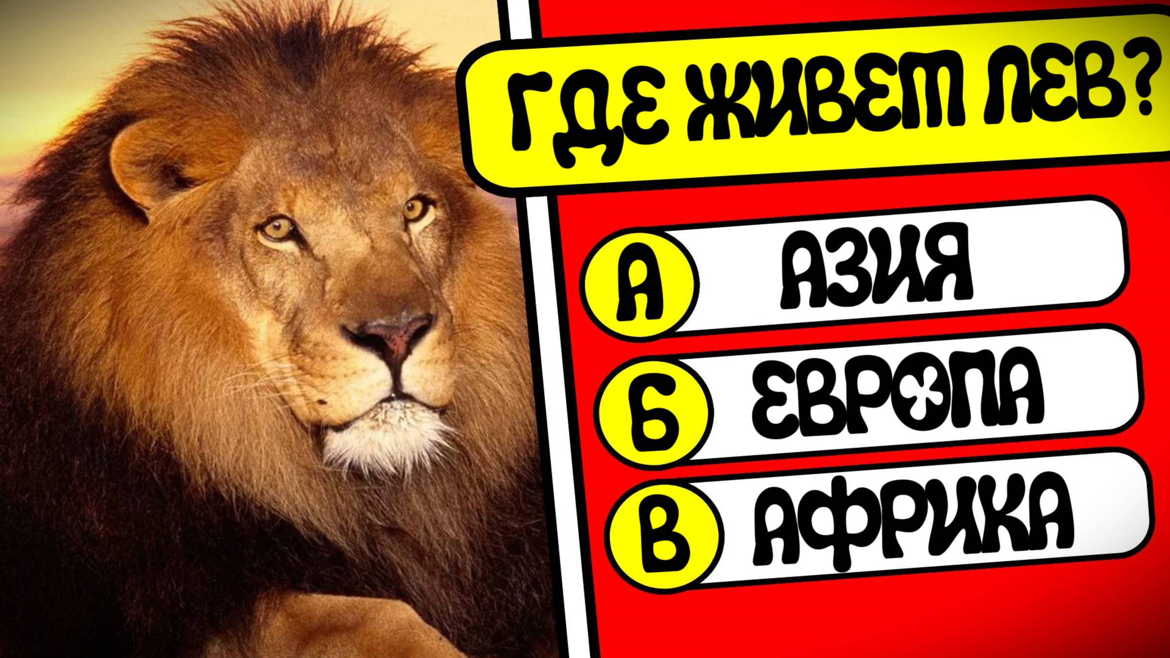 НАСКОЛЬКО хорошо вы знаете БОЛЬШИХ КОШЕК? 🦁🐯✅ Викторина на общие знания о животных