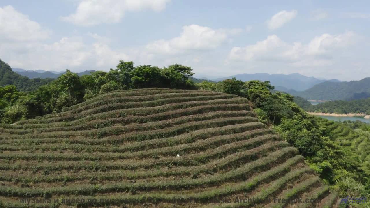 Музыка пробуждает внутри забытые мечты - NCOTB -- Kirk Osamayo -- Season Two (ORANGE)