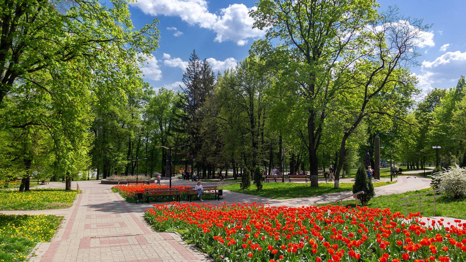 Тюльпаны парке Дзержинского. Курск.